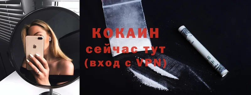 Cocaine Fish Scale  shop официальный сайт  Славянск-на-Кубани  KRAKEN ONION 